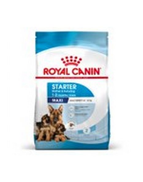 Royal Canin Maxi Starter 4kg
